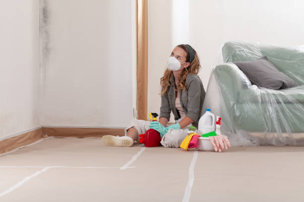 Reliable Mold Remediation contractor in Halifax, VA by WQB Mold Removal